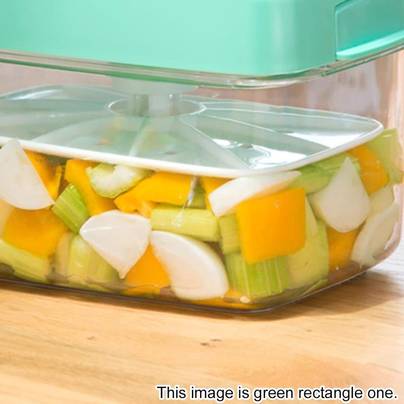 Instant Pickle Maker Vegetable Press Tsukemono Container Rectangle Made in