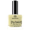 alessandro Hybrid Varnish Rococo Garden Wild Ivy - In Just