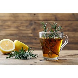 Kräutertee The Richter Transit 1 Box 20 Beutel