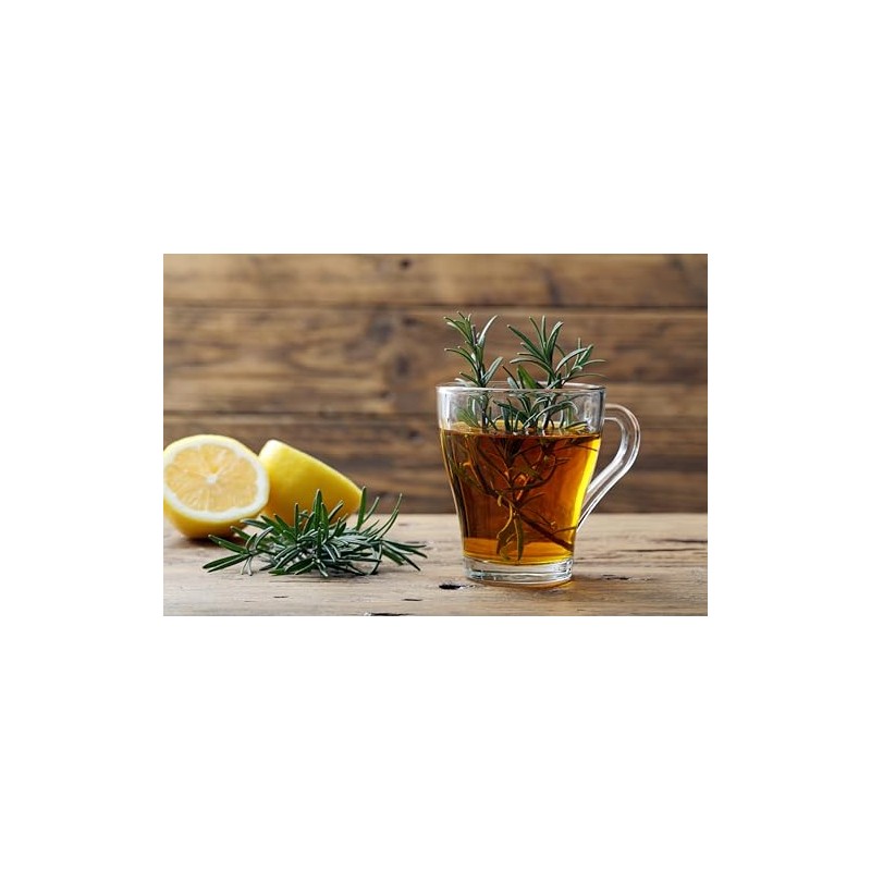 Kräutertee The Richter Transit 1 Box 20 Beutel