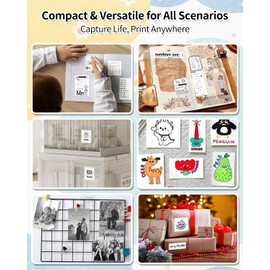 iDPRT Sticker Maker, Portable Thermal Printer with 1 Roll Sticker Paper, Bluetooth Inkless Printer Mini Label Maker for Study, DIY, Notes, Mini Label Maker with Multiple Template in Free App, Grey