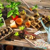 13 Pieces Bonsai Tools Set Succulent Mini Garden Hand Tools
