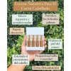 Loción Nutritiva Para Cuero Cabelludo Terramar, 4 Ampolletas