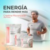 Primetech Nutrition Creatina Monohidratada Micronizada en Polvo 300 gr