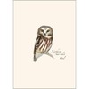 Earth Sky + Water - Sibley Owl Assortment Notecard Set