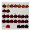 Alfaparf Milano Tinte Alfaparf Evolution Kit De 6 Pzas