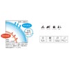 Cogit Cool Neck Cooler, Ring, Clear, M, Cool, Ice Cooling,