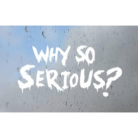 Why So Serious Decal for Truck, Funny, Tumbler, Window, Laptop, Phone, Home Decoration.