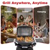 DELSbbq Cast Iron Griddle Insert for Weber Q Series Gas