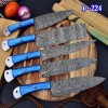 Aj Sanity Knives 5 pieces chef knives set Damascus steel