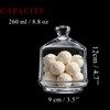 the mask el turko Multipurpose Glass Mini Container with Lid,