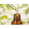 Clove Oil (Syzygium aromaticum) 100% Pure & Natural Undiluted Uncut