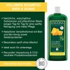 LOGONA Organic Honey Volume Shampoo 17oz, 500ml