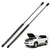 Gas Charged Front Hood Struts Lift Supports Compatible with Acura