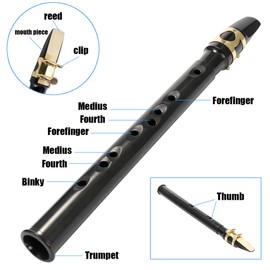 Black Pocket Sax Mini Portable Saxophone Little Saxophone With Carrying Bag Woodwind Instrument