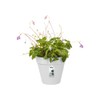 elho Loft Urban Green Wall Pot Single 15 - Flower