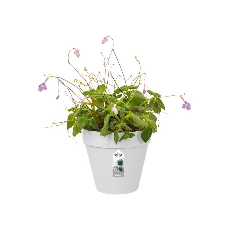 elho Loft Urban Green Wall Pot Single 15 - Flower