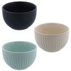 テーブルウェアイースト コロン トクサボウル 3色1個ずつセット 和のうつわ 13.6cm