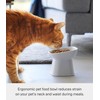Yamazaki Home Tower Elevated Ceramic Pet Food Bowl - Angled,