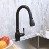 RELIAFLO Pull Down Kitchen Faucet in Matte Black - D11018-49