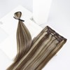 Ve Sunny 22inch Human Hair Clip in Extensions Light Brown