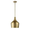 Light Visions PL0037NB Transitional 1 Light 11 inch Natural Brass