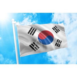 DMSE - Bandera de Taegukgi Taegeukgi de la República del Sur de Corea (2 x 3 pies)