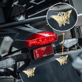 Temzzer License Plate Bolts Screws Anti-Theft Car Tag Frame Bolts for Most Vehicle Motorcycle 2 PCS (Gold)