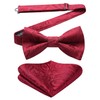 HISDERN Men's Bowtie, One-Touch Paisley Pattern, Bowtie, Chief Set, For