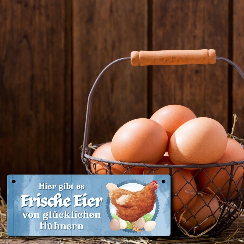 Fresh Eggs of Happy Chickens Metal Sign L in 10.5