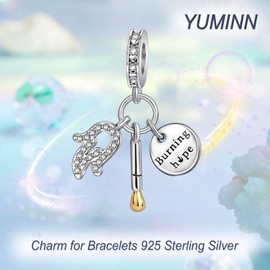 YUMINN Life Series Charms for 925 Sterling Silver for Women Bracelets & Necklaces Dangle Pendant for Christmas Valentine's Day Mother's Day Jewellery Gifts for Women, Sterling Silver, Cubic Zirconia