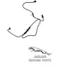 Genuine Jaguar C2Z4729 - Vacuum Hose