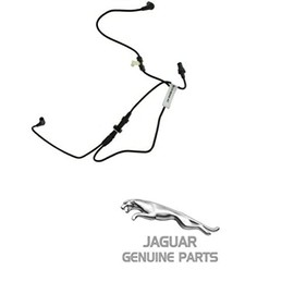 Genuine Jaguar C2Z4729 - Vacuum Hose
