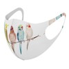 Smakore 014042 Design Mask, Set of 2, Polyester, Washable, Cloth