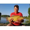 Tandem Baits Method Feeder Fluo Pop-up Micro Boilies 8mm 20g
