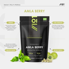 ALPHA01 Organic Amla Berry 1400mg - 90 Vegan Capsules - High Strength Phyllanthus Emblica Supplement - 45 Day Supply - Resealable and Recyclable Pouch by Alpha01