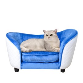 AFBKSS&BB Comfy Velvet Pet Sofa Bed for Small Cats - Convenient and Stylish