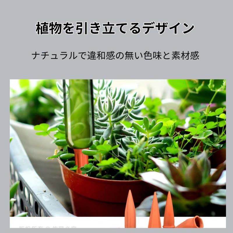 Qiix Automatic Watering 6 Pcs Planter Watering Automatic Water Cap