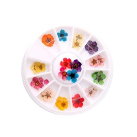 Healvian Colorful Dried Flowers Nail Art Supplies Color Plum Blossom Stickers for Creative Manicure for Professional Home Use Portable Nail Art Accessories