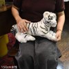 Kowhite Tiger No.4754