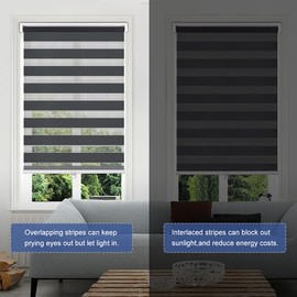 SEEYE Cordless Zebra Blinds Roller Shades for Window Day and Night Blind Dual Layer Light Filtering Shade Light Control Room Darkening Horizontal Window Treatment 31" W X 72" H, Black