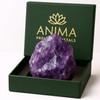 Anima Amethyst Crystal - Large 4-5cm Deep Purple Natural Raw