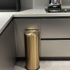 7.92 gallon/30L Gold Kitchen Trash Can with Swing Lid, Tall,