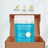 BIOSUPLE | Colágeno Hidrolizado adicionado con Ácido Hialuronico, Semilla de