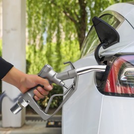 110 Volt Electric Diesel Oil Fuel Transfer Pump Self-priming Oil Diesel Pump + Hoses & Nozzle for Gasoline Diesel Kerosene