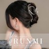 Runmi Hair Clips, 2 Pieces Large Metal Hair Clips for