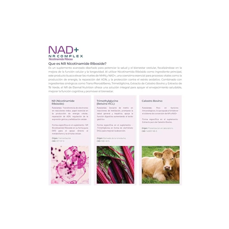 ETERNAL NUTRITION NAD+ NR Complex: Nicotinamida Ribósida NR (200 Caps)