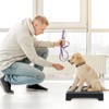 Dog Training Place Board with Non-Skid Surface, Dog Platform for