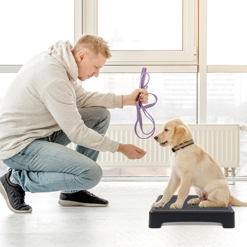 Dog Training Place Board with Non-Skid Surface, Dog Platform for