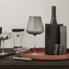 Blomus ILO Moonbeam 64256 Wine Accessories Set of 2